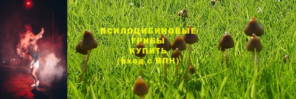 МДПВ Бугульма