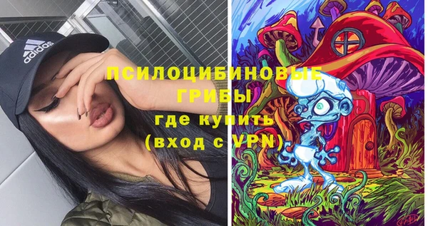 МДПВ Бугульма